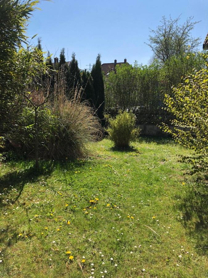 Sieben-Berge-Ferienwohnungen Alfeld  Luaran gambar